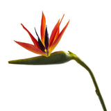 38’’ Large Bird of Paradise Artificial Flower (Set of 4) by Nearly Natural