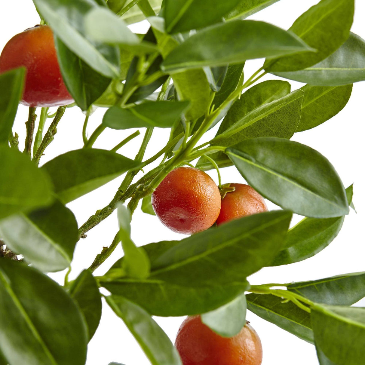 38'' Potted Orange Tree by Nearly Natural