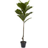 4’ Fiddle Leaf Tree UV Resistant (Indoor/Outdoor) by Nearly Natural