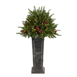 4' Holiday Christmas Tree Plant Pre-Lit and Glittered on Pedestal with 150 Multicolored LED lights by Nearly Natural