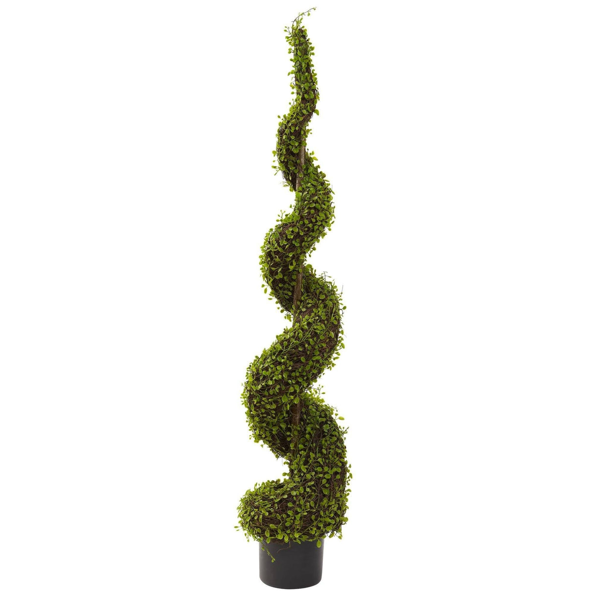 4’ Mohlenbechia Spiral Tree by Nearly Natural