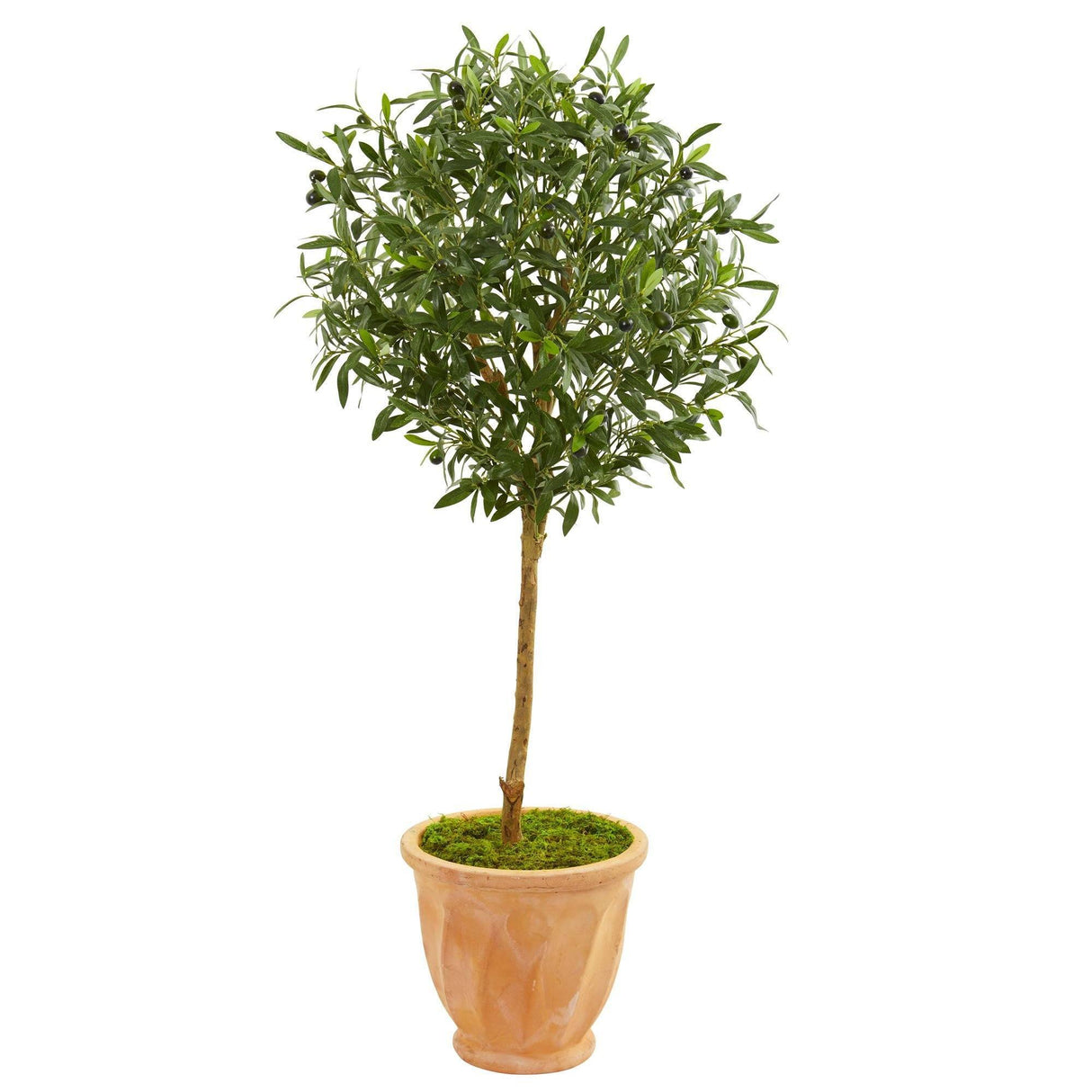 4’ Olive Artificial Tree in Terra Cotta Planter by Nearly Natural