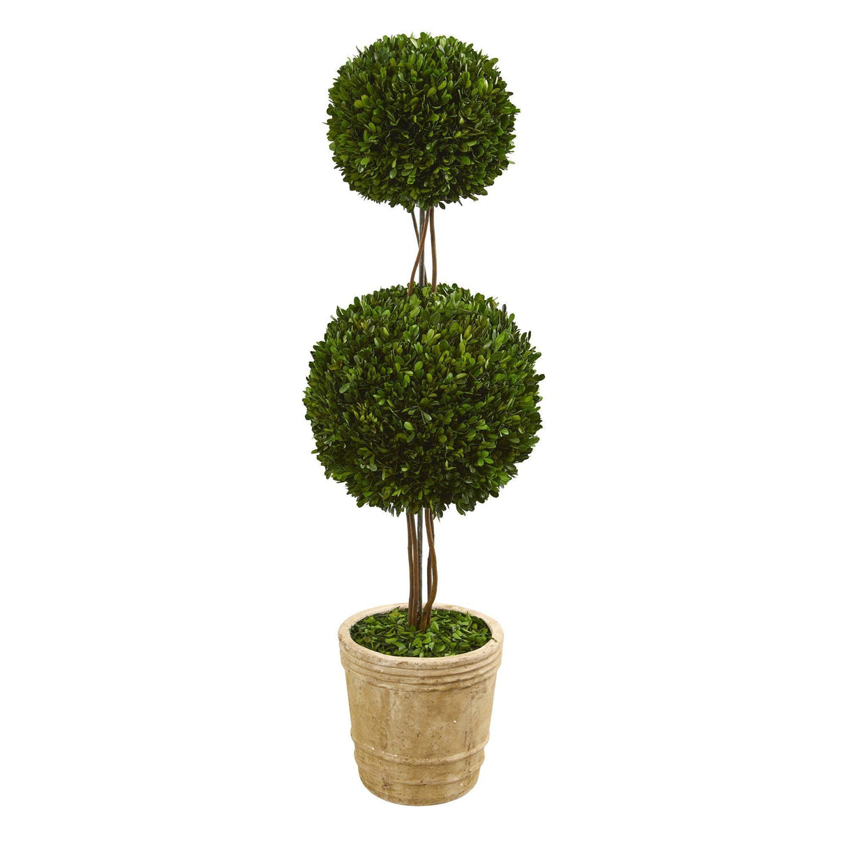 4’ Preserved Boxwood Double Ball Topiary Tree in Planter by Nearly Natural