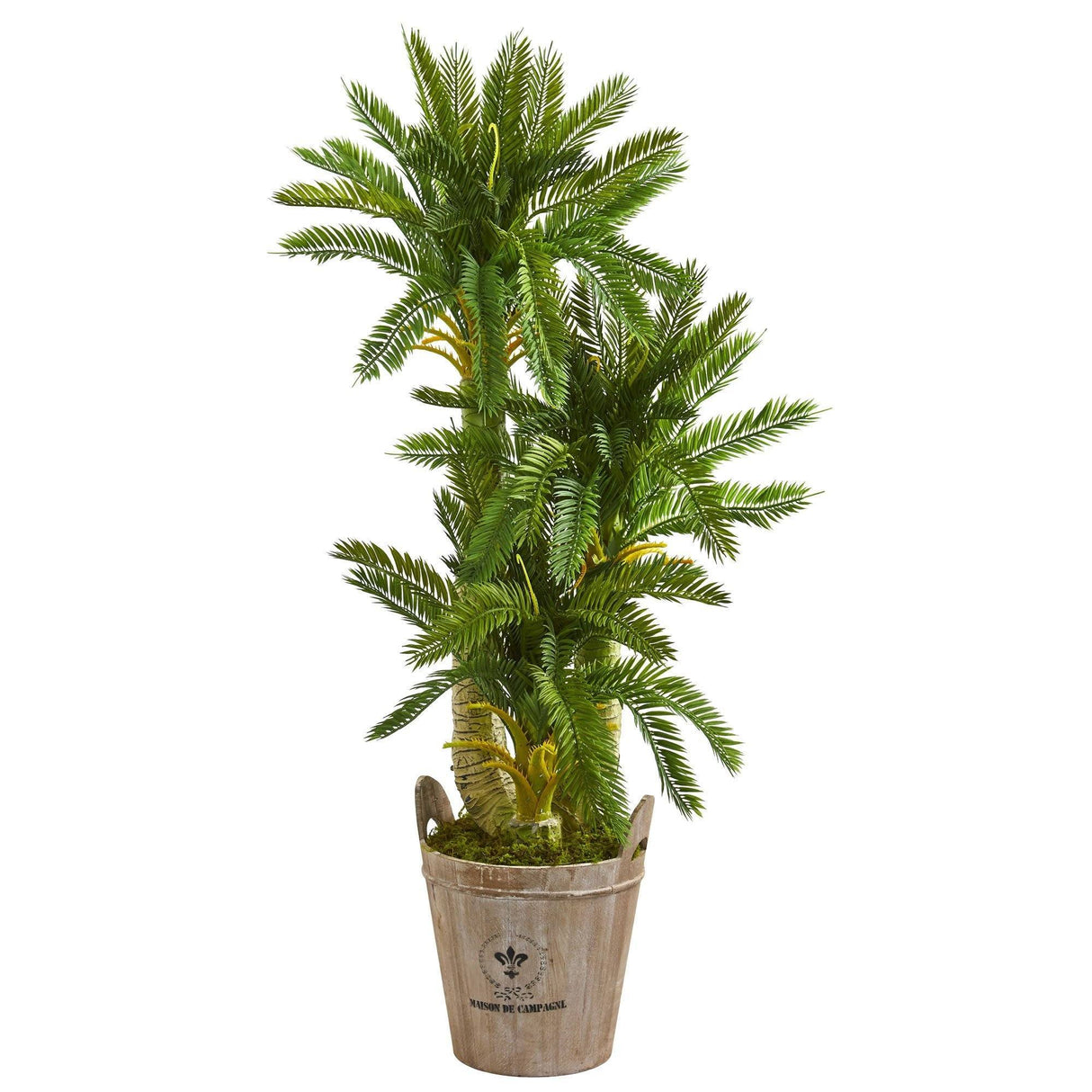 4’ Triple Cycas Artificial Plant in Farmhouse Planter by Nearly Natural