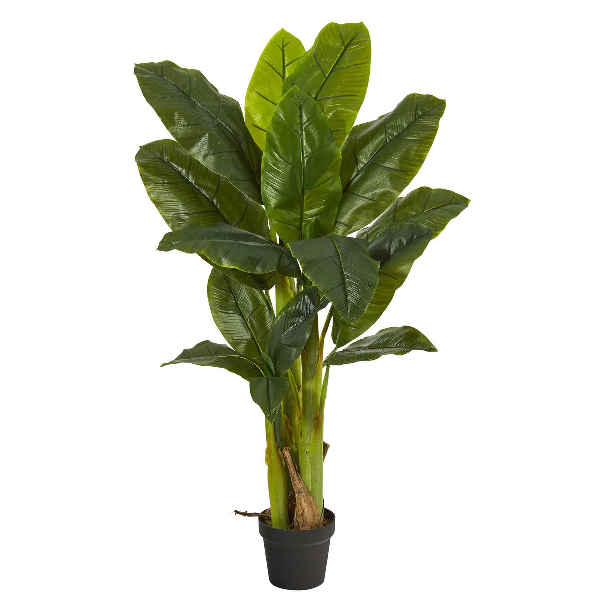 4' Triple Stalk Banana Tree (Real Touch) by Nearly Natural