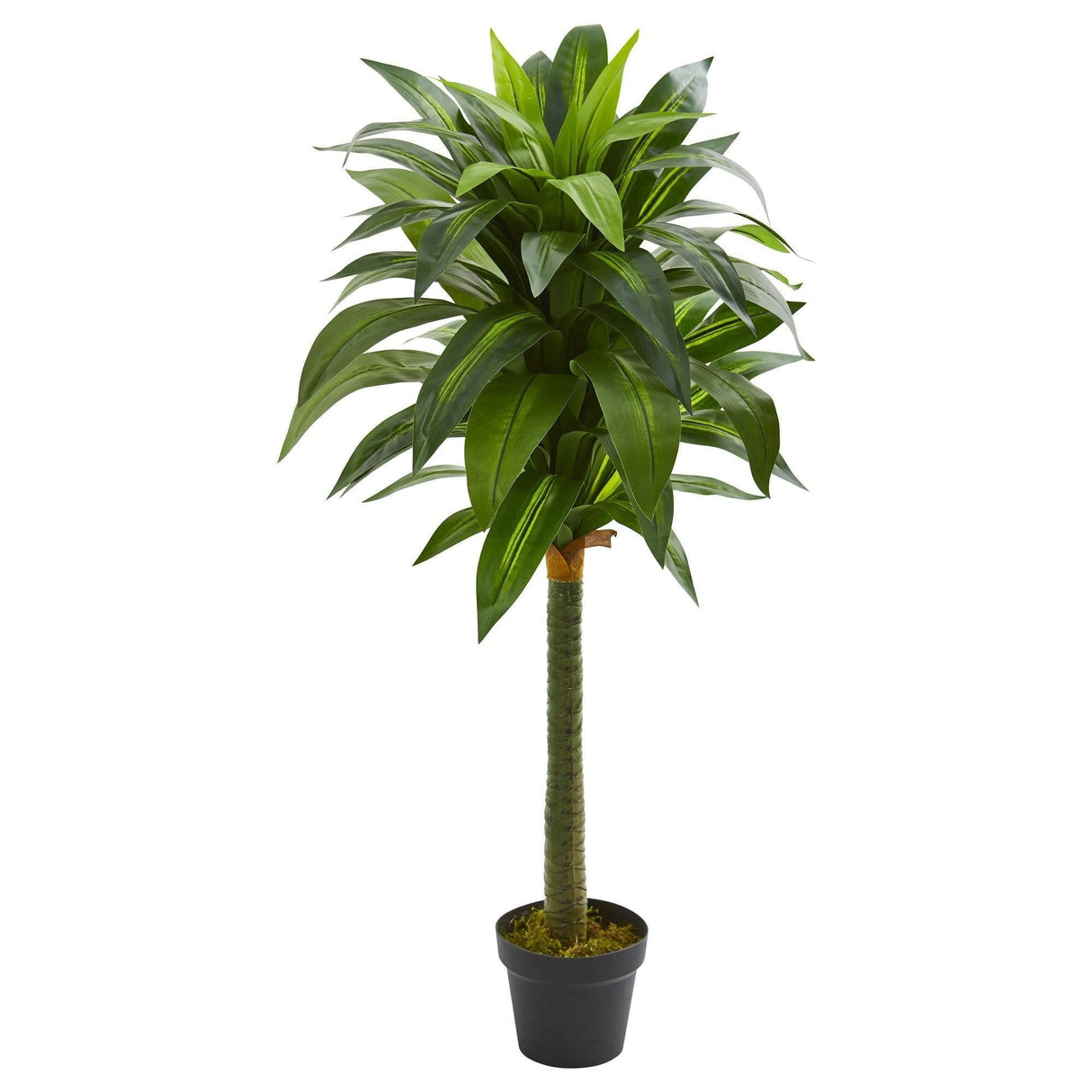 45” Dracaena Artificial Plant by Nearly Natural