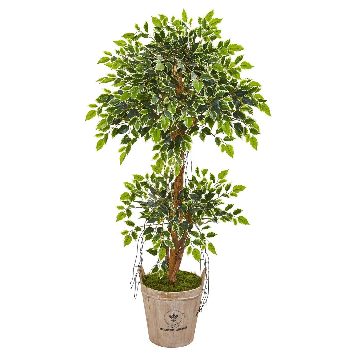 4.5’ Variegated Ficus Artificial Tree in Farmhouse Planter by Nearly Natural