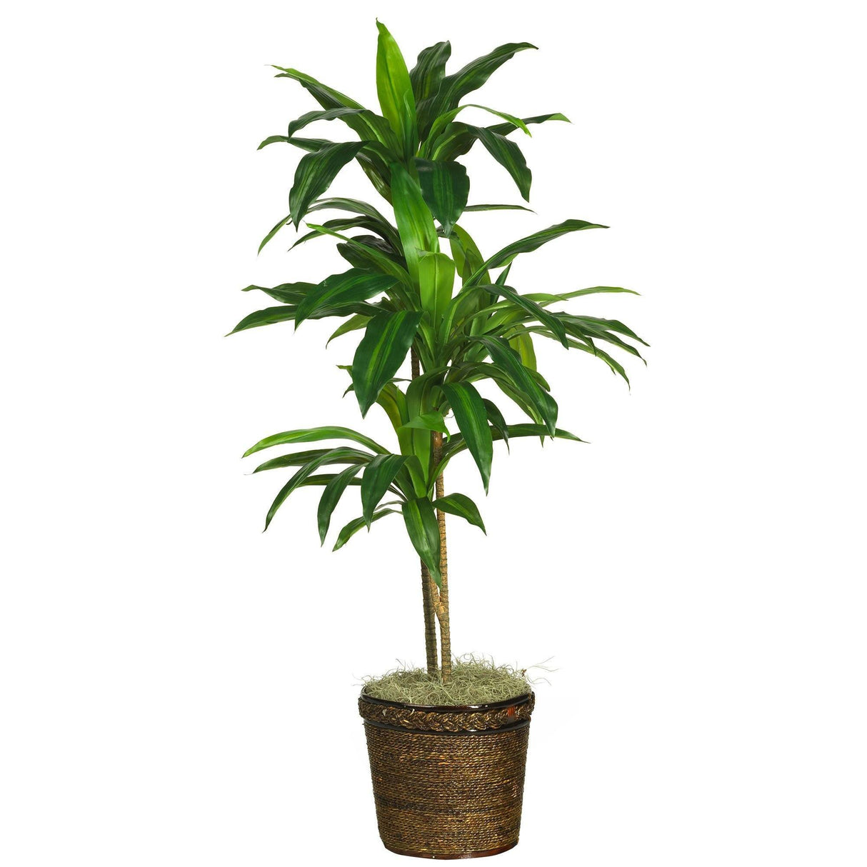 48" Dracaena w/Basket Silk Plant (Real Touch)" by Nearly Natural