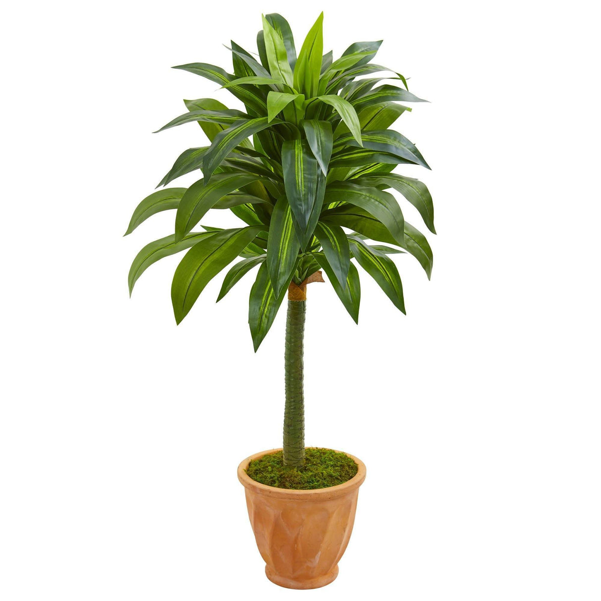 49” Dracaena Artificial Plant in Terra Cotta Planter by Nearly Natural