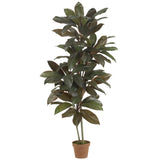 5' Cordyline Silk Plant (Real Touch) by Nearly Natural