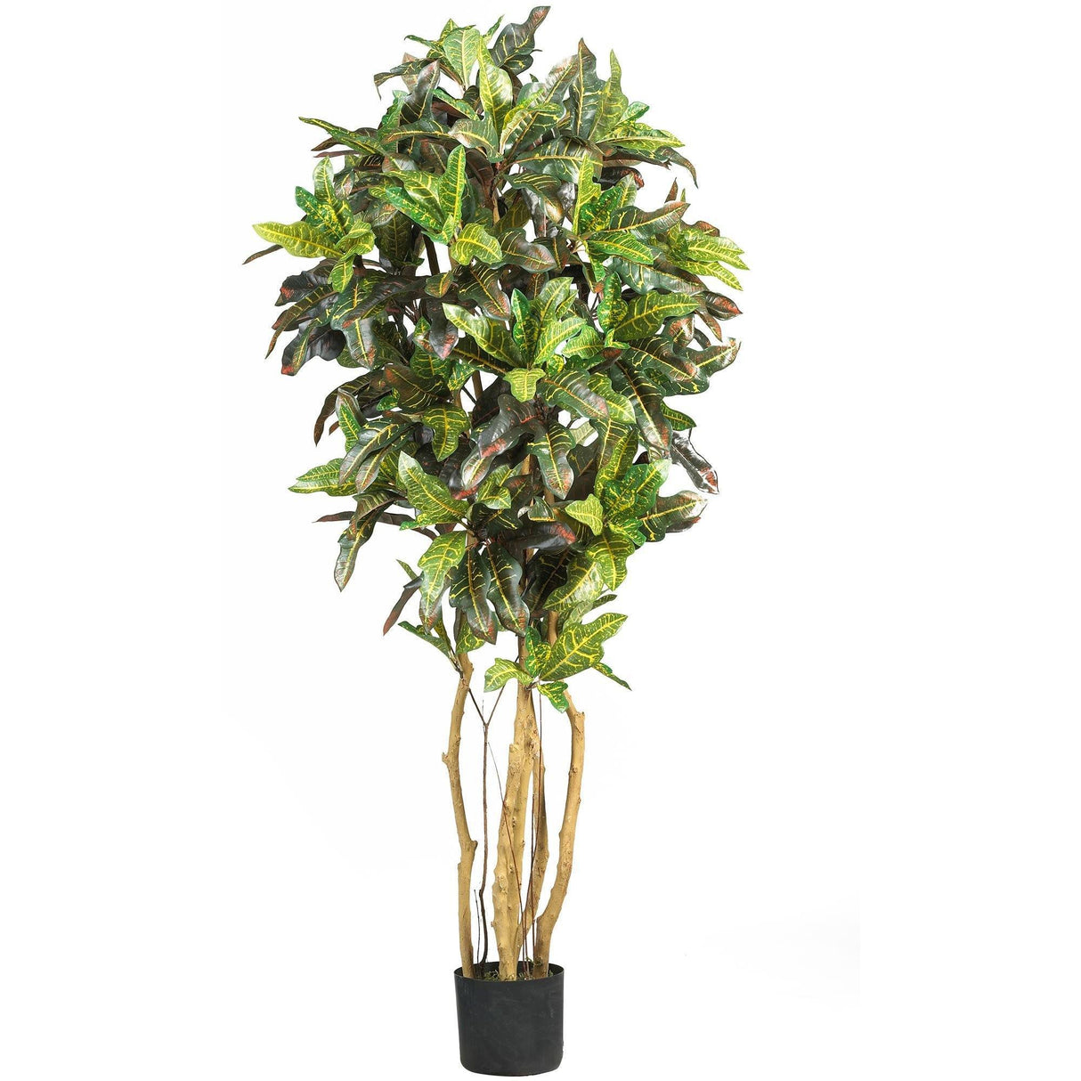 5' Croton Silk Tree by Nearly Natural