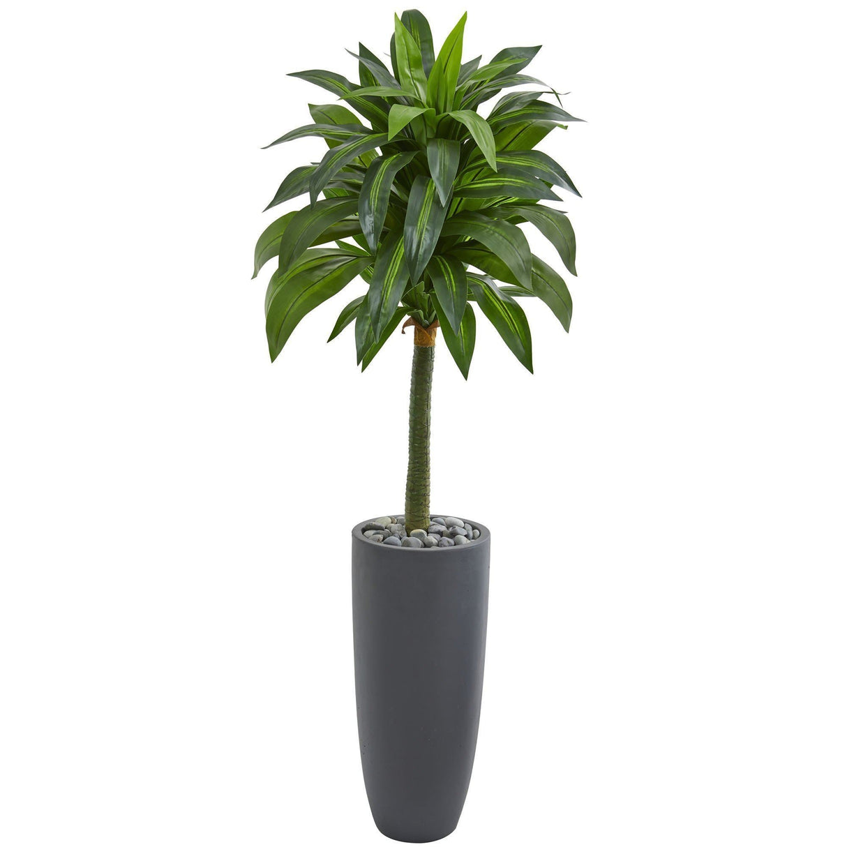 5’ Dracaena Artificial Plant in Gray Planter by Nearly Natural