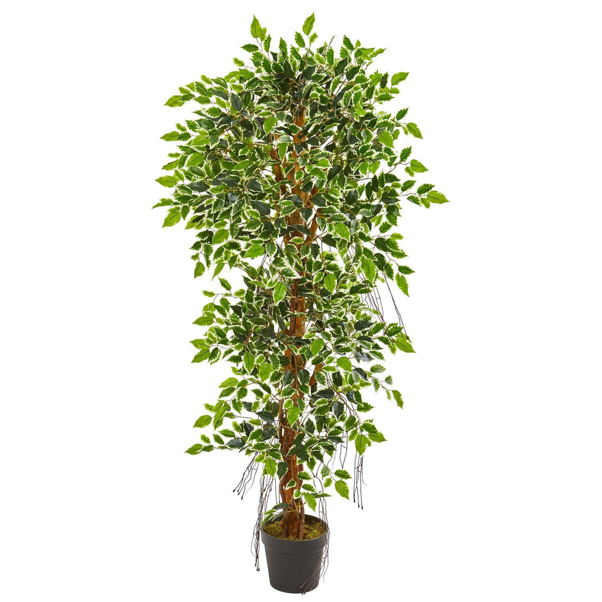 5’ Elegant Ficus Artificial Tree by Nearly Natural