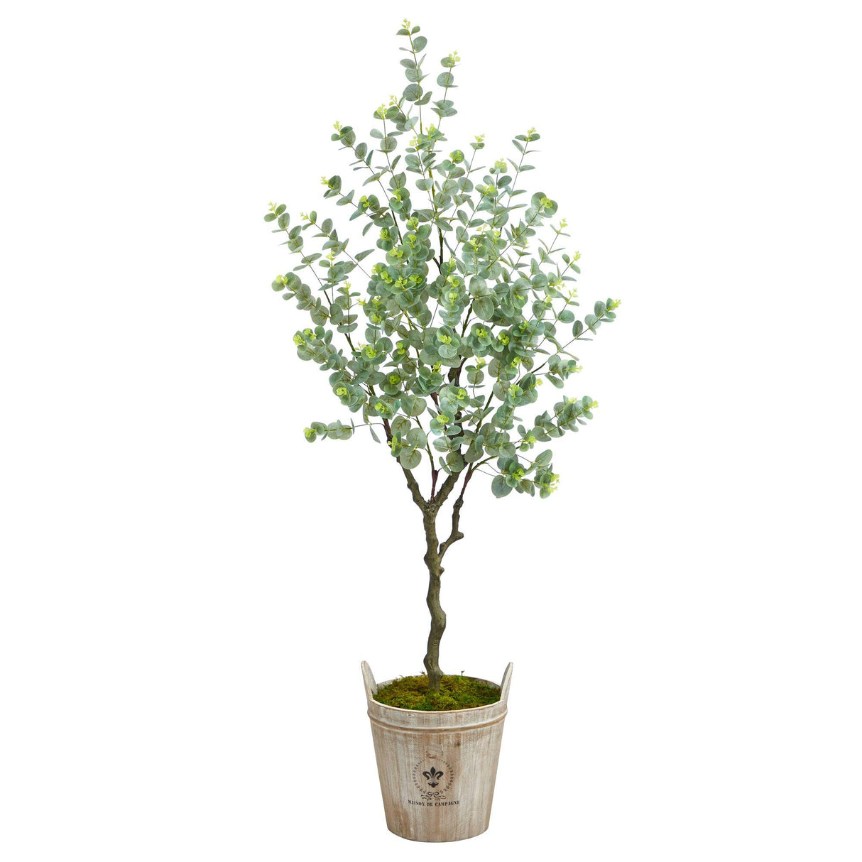 5’ Eucalyptus Artificial Tree in Farmhouse Planter by Nearly Natural