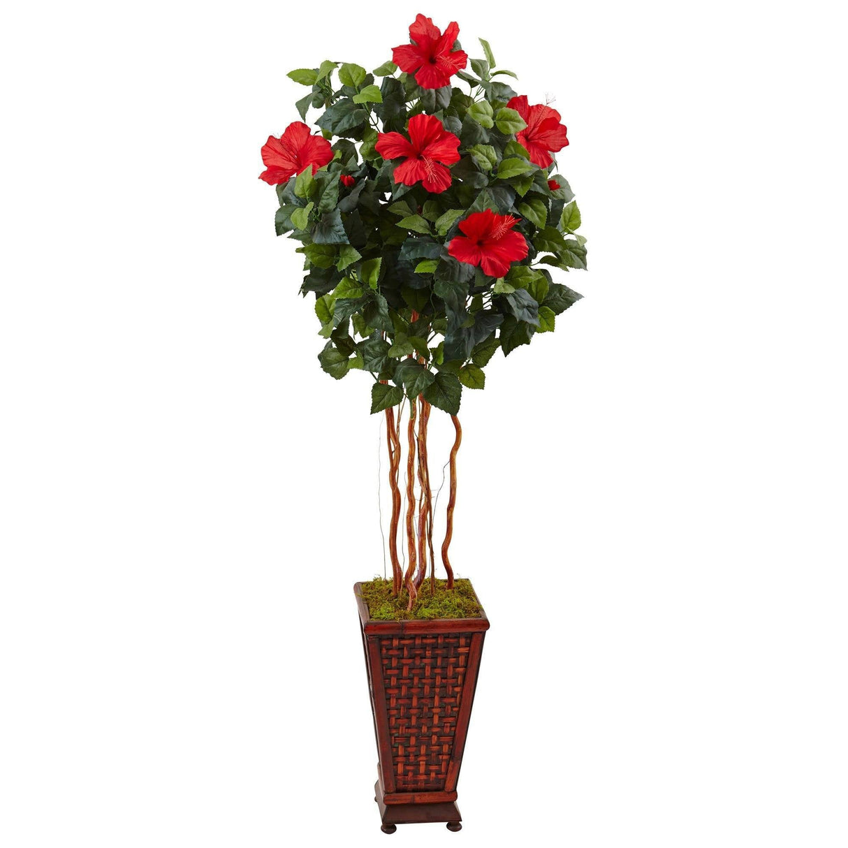 5’ Hibiscus Tree in Decorated Wooden Planter by Nearly Natural