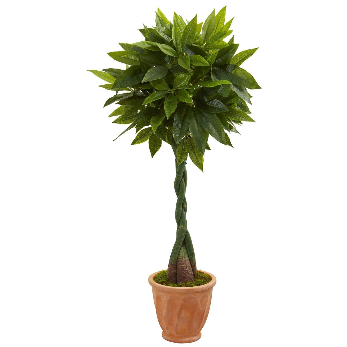 5’ Money Artificial Tree in Terracotta Planter (Real Touch) by Nearly Natural