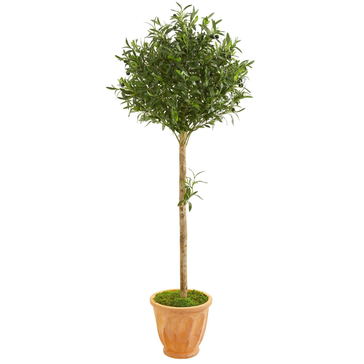 5’ Olive Topiary Artificial Tree in Terra Cotta Planter by Nearly Natural