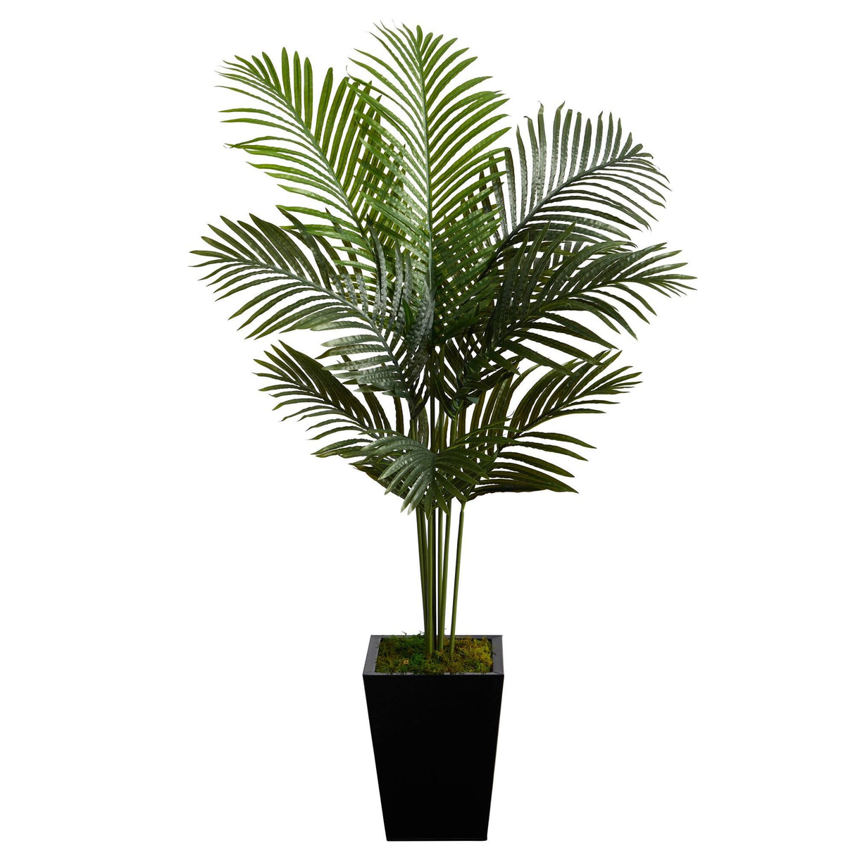 5’ Paradise Palm Artificial Tree in Black Metal Planter by Nearly Natural