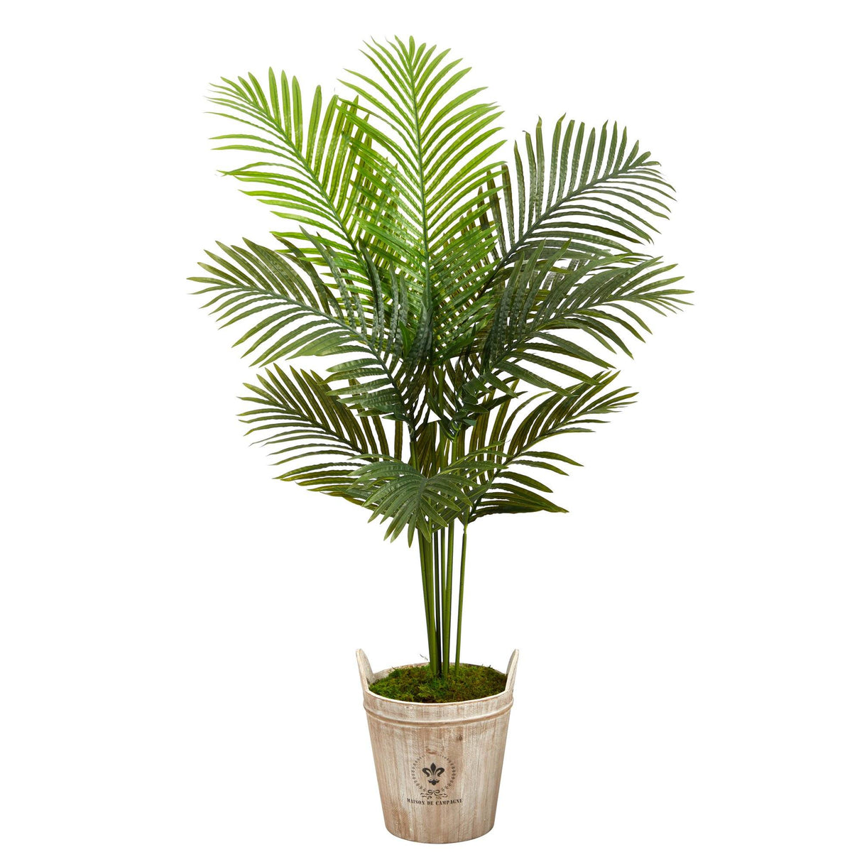 5’ Paradise Palm Artificial Tree in Farmhouse Planter by Nearly Natural