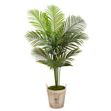 5’ Paradise Palm Artificial Tree in Farmhouse Planter by Nearly Natural