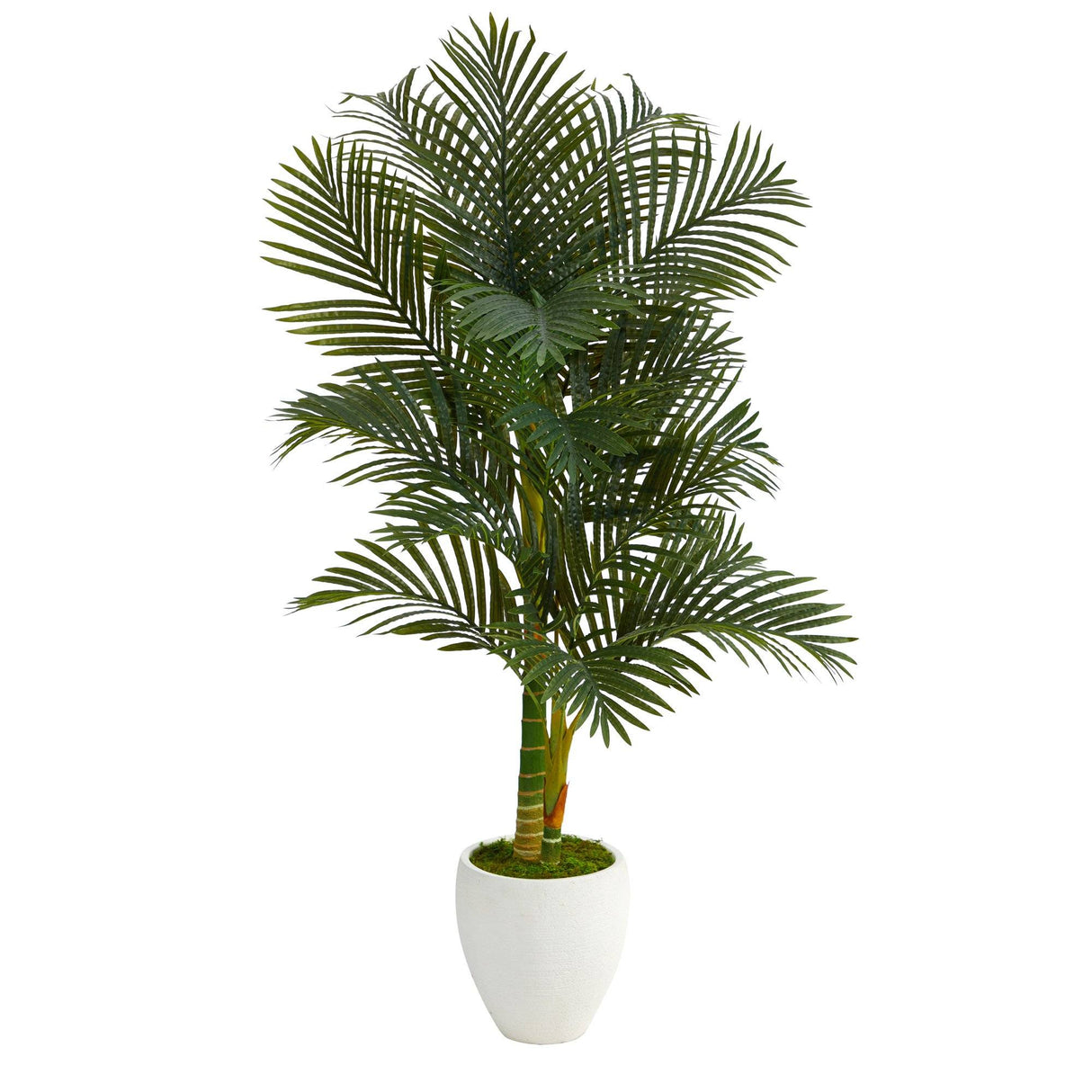 5’ Paradise Palm Artificial Tree in White Planter with Faux Moss by Nearly Natural