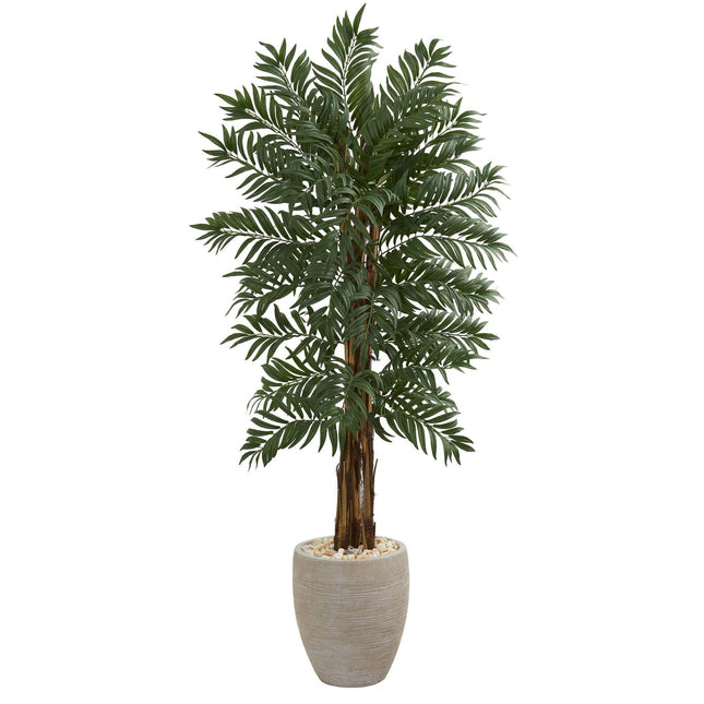 5’ Parlor Artificial Palm Tree in Decorative  Planter by Nearly Natural
