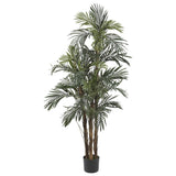 5' Robellini Palm Silk Tree by Nearly Natural