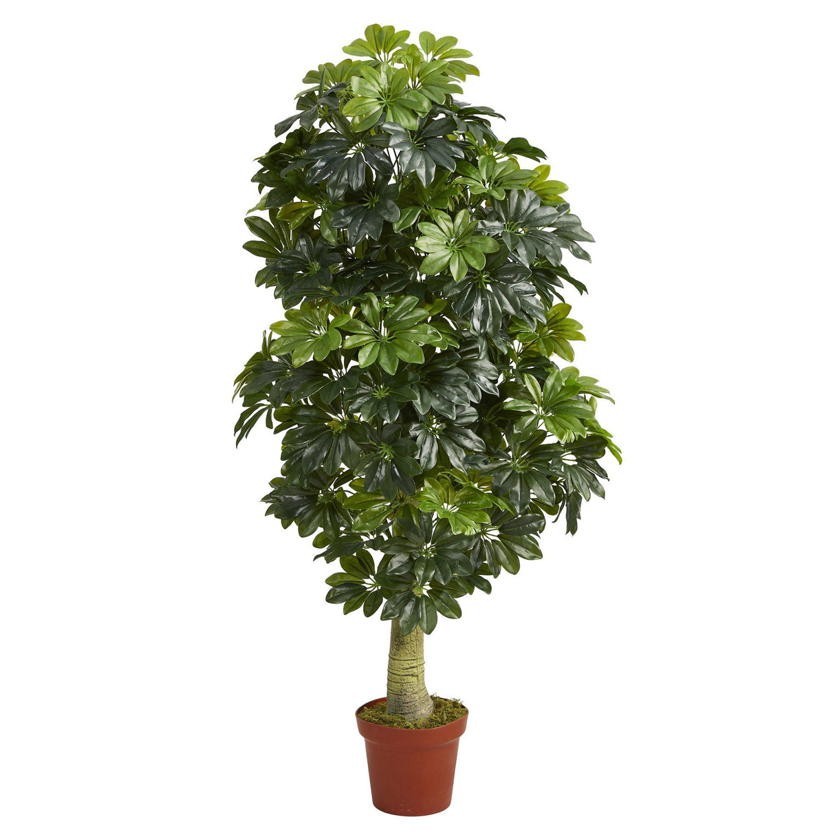 5' Schefflera Artificial Tree (Real Touch) by Nearly Natural