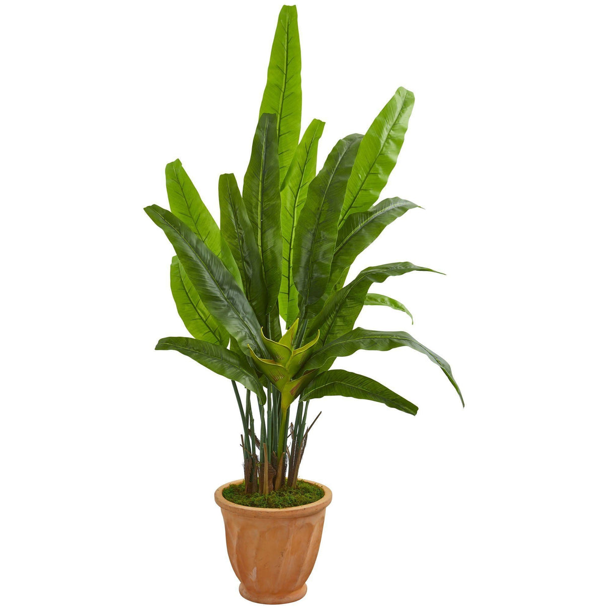 5’ Travelers Palm Artificial Tree in Terra Cotta Planter by Nearly Natural