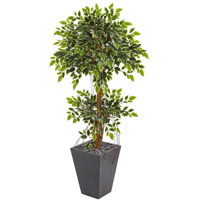 5’ Variegated Ficus Artificial Tree in Slate Planter by Nearly Natural