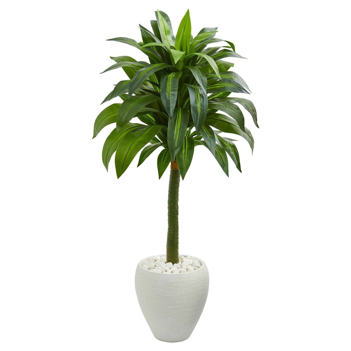 52” Dracaena Artificial Plant in White Planter by Nearly Natural