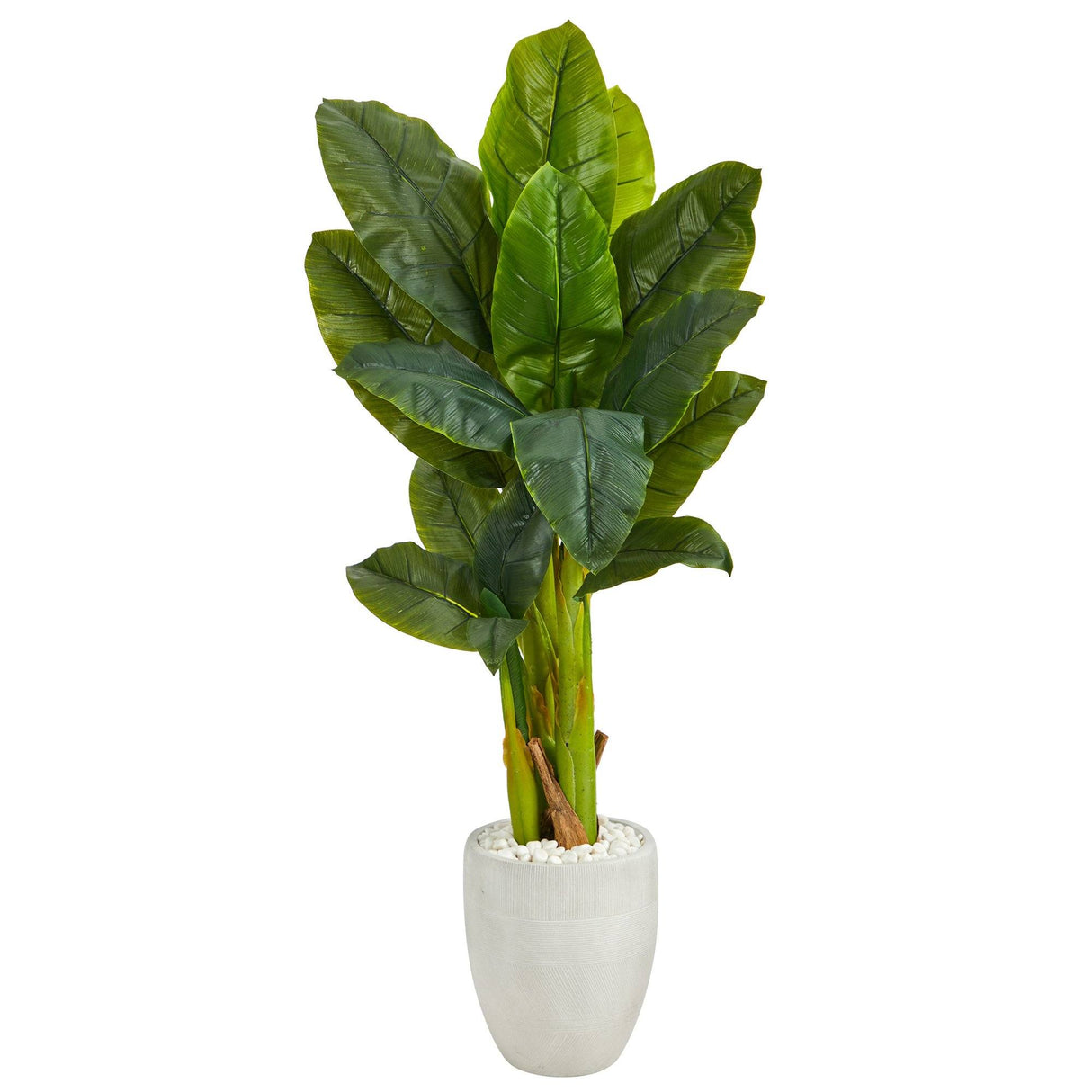 52” Triple Stalk Artificial Banana Tree in White Planter (Real Touch) by Nearly Natural