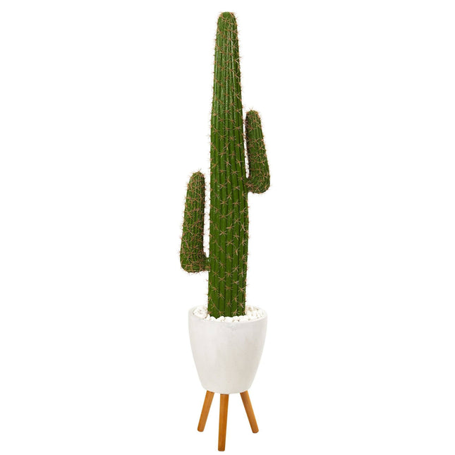 5.5’ Cactus Artificial Plant in White Planter with Stand by Nearly Natural