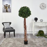 5.5’ English Ivy Single Ball Artificial Topiary Tree with Natural Trunk UV Resistant (Indoor/Outdoor) by Nearly Natural