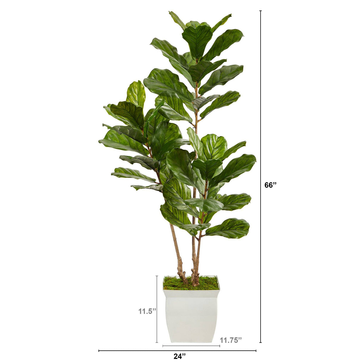 5.5’ Fiddle Leaf Artificial Tree in White Metal Planter(Indoor/Outdoor) by Nearly Natural