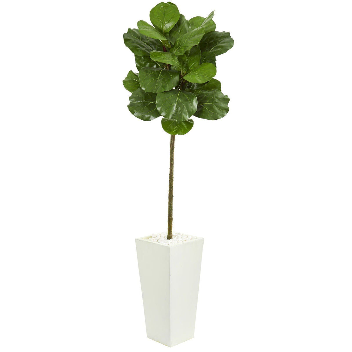 5.5’ Fiddle Leaf Artificial Tree in White Tower Planter by Nearly Natural