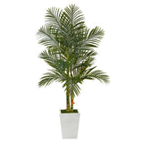 5.5’ Golden Cane Artificial Palm Tree in White Metal Planter by Nearly Natural