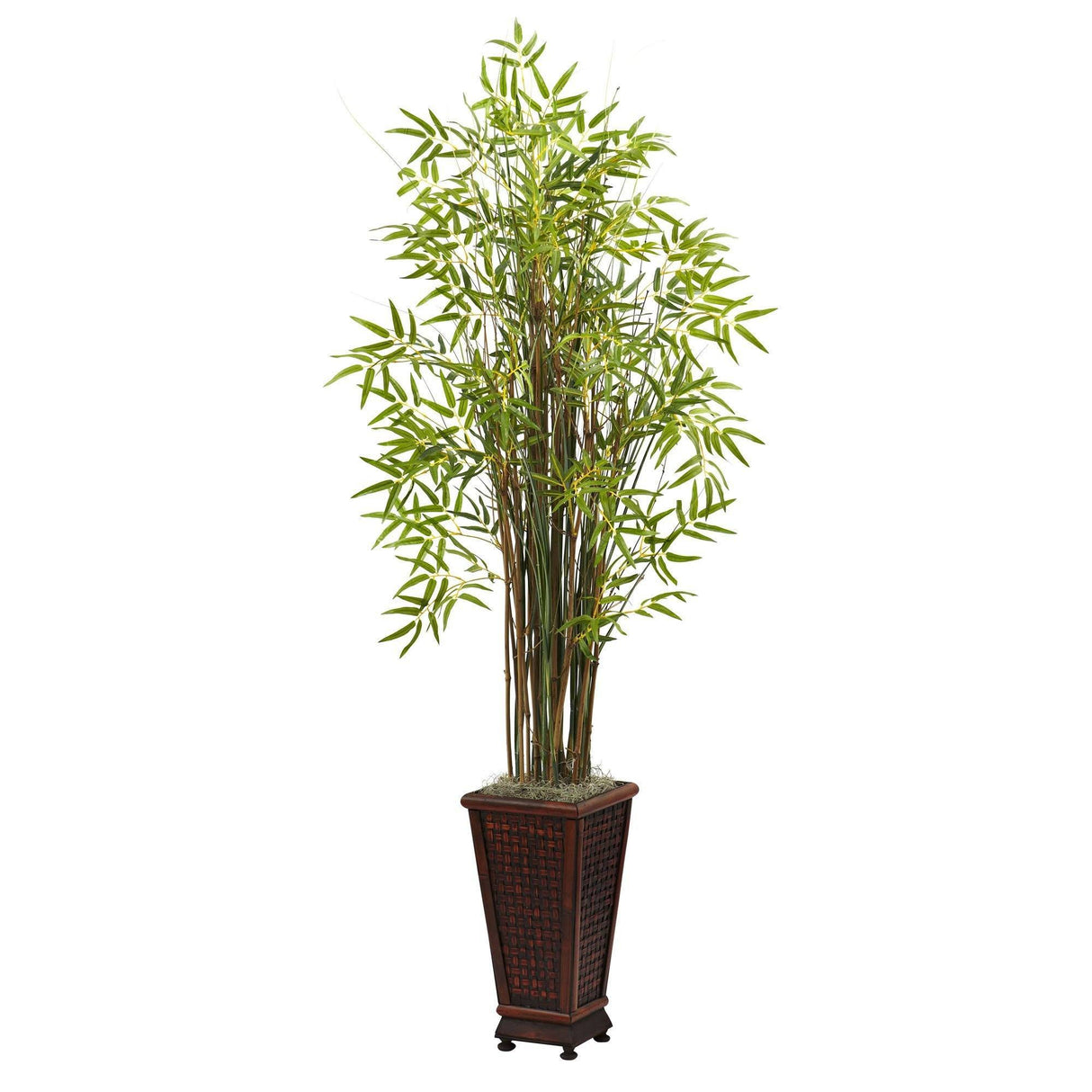 5.5’ Grass Bamboo Plant w/Decorative Planter by Nearly Natural