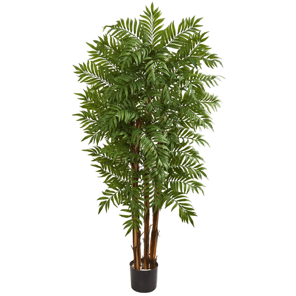 5.5’ Parlour Artificial Palm Tree by Nearly Natural