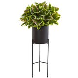 55” Rubber Leaf Artificial Plant in Black Planter with Stand (Real Touch) by Nearly Natural