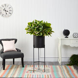 55” Rubber Leaf Artificial Plant in Black Planter with Stand (Real Touch) by Nearly Natural