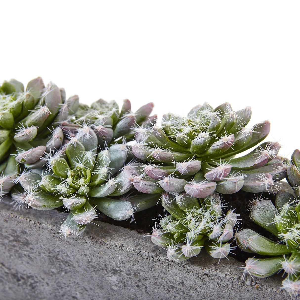 5.5” Succulent Garden w/Textured Concrete Planter by Nearly Natural