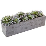 5.5” Succulent Garden w/Textured Concrete Planter by Nearly Natural