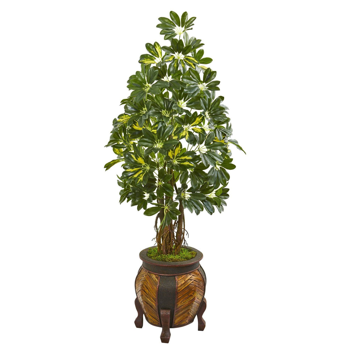 57” Schefflera Artificial Tree in Decorative Planter by Nearly Natural