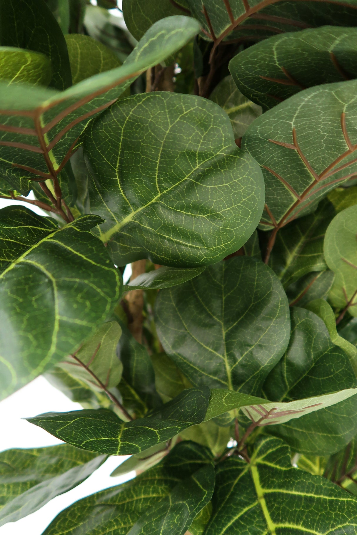 6’ Artificial Fiddle Leaf Fig Tree by Nearly Natural