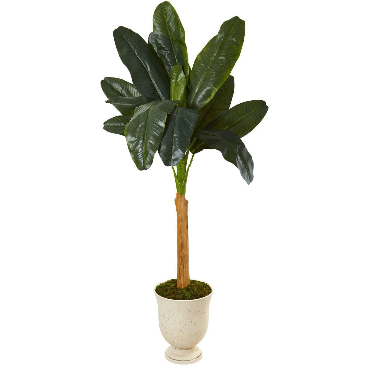 6’ Banana Artificial Tree in Decorative Urn by Nearly Natural