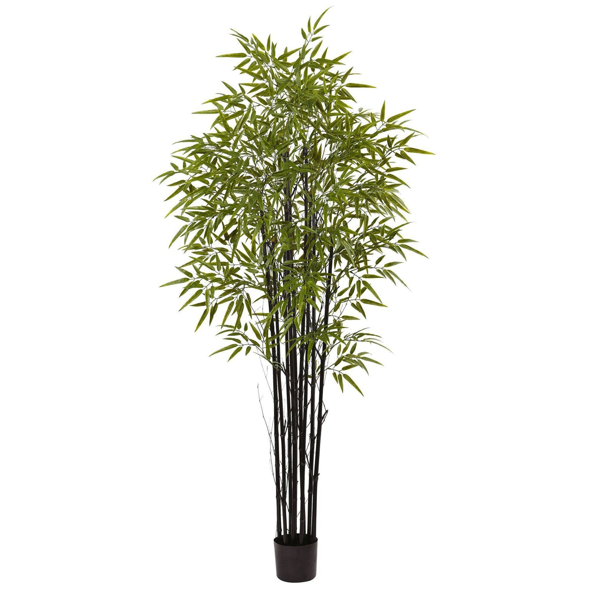 6' Black Bamboo Tree UV Resistant (Indoor/Outdoor) by Nearly Natural