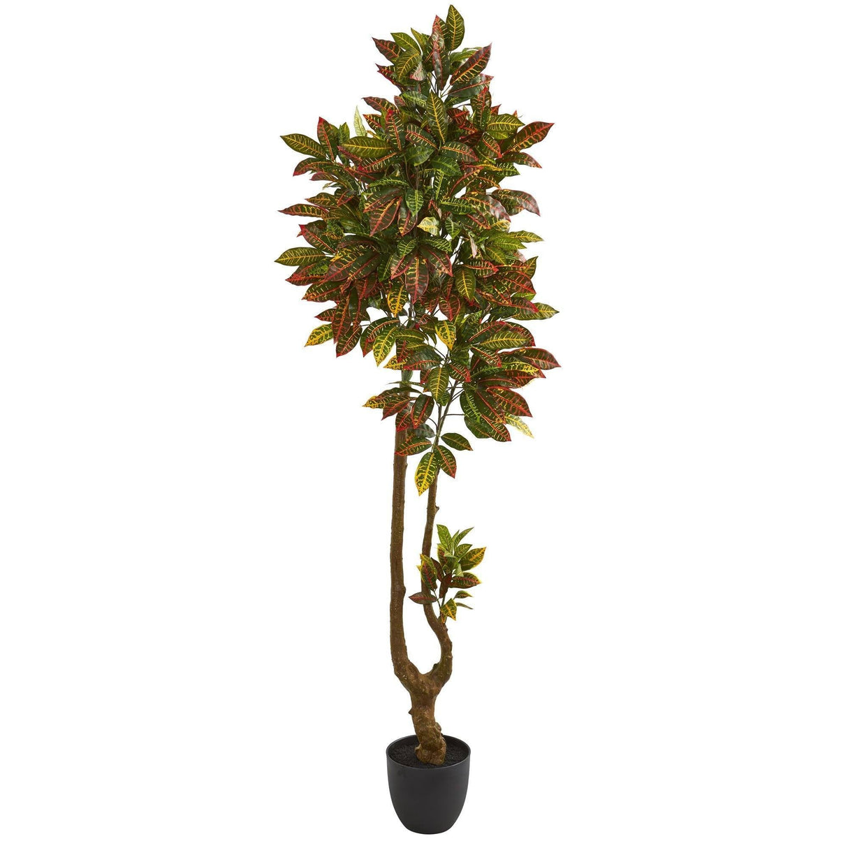 6’ Croton Artificial Tree by Nearly Natural