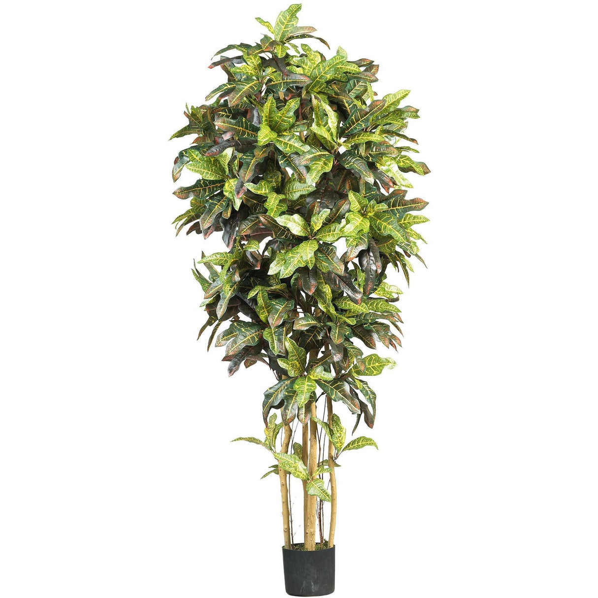 6' Croton Silk Tree by Nearly Natural