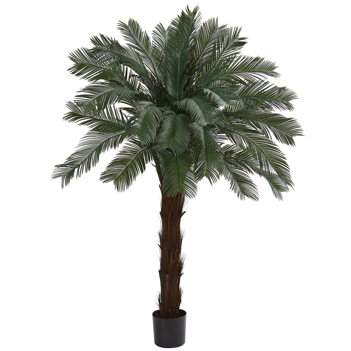 6’ Cycas Artificial Tree UV Resistant (Indoor/Outdoor) by Nearly Natural